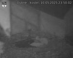 Capi_Dubne_20250510_235002.jpg