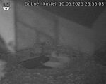 Capi_Dubne_20250510_235503.jpg