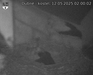 Capi_Dubne_20250512_020002.jpg (1350 x 1080)