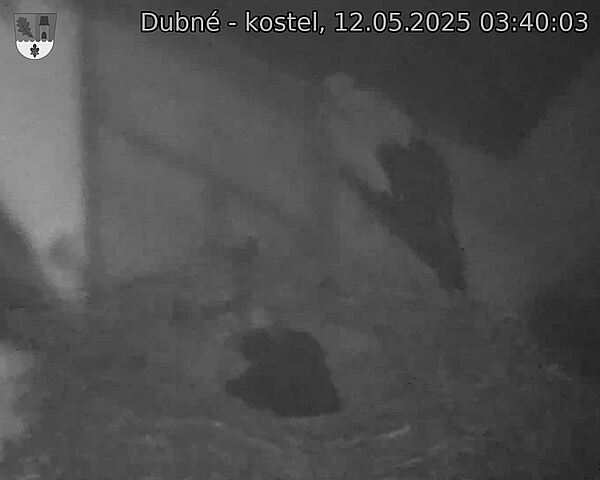 Capi_Dubne_20250512_034003.jpg (1350 x 1080)