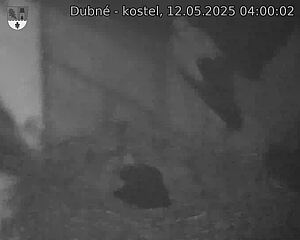 Capi_Dubne_20250512_040002.jpg (1350 x 1080)