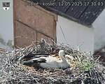 Capi_Dubne_20250512_173003.jpg