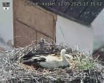 Capi_Dubne_20250512_173502.jpg