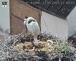 Capi_Dubne_20250512_174003.jpg