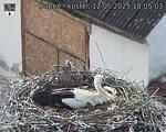 Capi_Dubne_20250512_180503.jpg