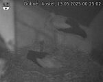 Capi_Dubne_20250513_002502.jpg