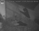 Capi_Dubne_20250513_020002.jpg