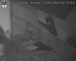 Capi_Dubne_20250513_021503.jpg