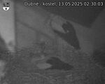 Capi_Dubne_20250513_023003.jpg