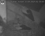 Capi_Dubne_20250513_023503.jpg