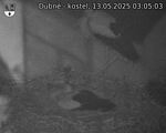 Capi_Dubne_20250513_030503.jpg