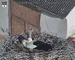 Capi_Dubne_20250513_070003.jpg