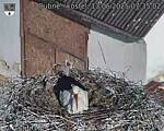 Capi_Dubne_20250513_073502.jpg