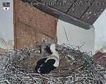 Capi_Dubne_20250513_082003.jpg