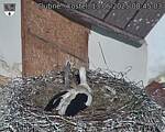Capi_Dubne_20250513_084503.jpg