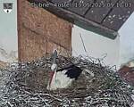 Capi_Dubne_20250513_091003.jpg