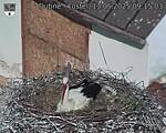 Capi_Dubne_20250513_091503.jpg