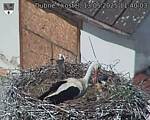 Capi_Dubne_20250513_114003.jpg
