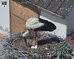 Capi_Dubne_20250513_122003.jpg