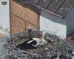Capi_Dubne_20250513_123003.jpg
