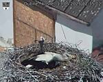 Capi_Dubne_20250513_123502.jpg