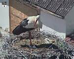 Capi_Dubne_20250513_143003.jpg