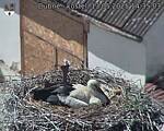 Capi_Dubne_20250513_143503.jpg
