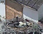 Capi_Dubne_20250513_144503.jpg