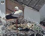 Capi_Dubne_20250513_152503.jpg