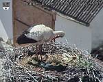 Capi_Dubne_20250513_153503.jpg