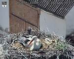 Capi_Dubne_20250513_161003.jpg