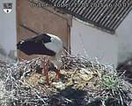 Capi_Dubne_20250513_162003.jpg