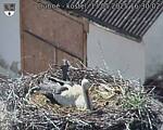 Capi_Dubne_20250513_163002.jpg