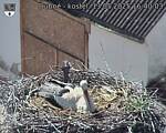 Capi_Dubne_20250513_164003.jpg