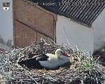 Capi_Dubne_20250513_165003.jpg
