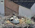 Capi_Dubne_20250513_180502.jpg