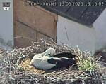 Capi_Dubne_20250513_181502.jpg