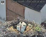 Capi_Dubne_20250513_184003.jpg