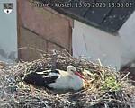 Capi_Dubne_20250513_185502.jpg