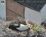 Capi_Dubne_20250513_190003.jpg