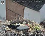 Capi_Dubne_20250513_191002.jpg