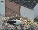 Capi_Dubne_20250513_191503.jpg
