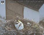 Capi_Dubne_20250513_200003.jpg