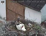 Capi_Dubne_20250513_204502.jpg