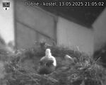 Capi_Dubne_20250513_210502.jpg