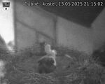 Capi_Dubne_20250513_211502.jpg