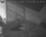 Capi_Dubne_20250513_213002.jpg