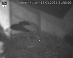 Capi_Dubne_20250513_215502.jpg