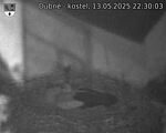 Capi_Dubne_20250513_223003.jpg