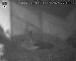 Capi_Dubne_20250513_224002.jpg